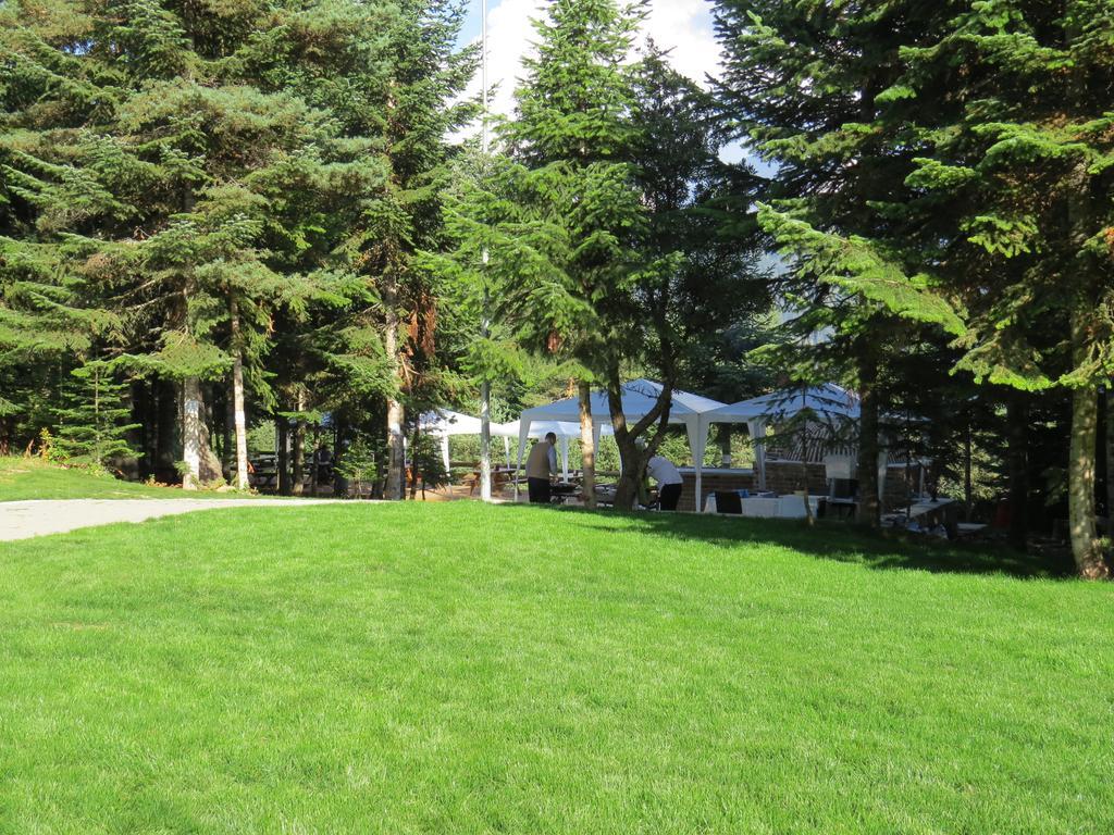 Jura Hotels Ilgaz Mountain Resort 외부 사진