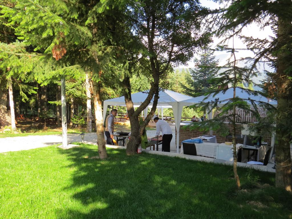 Jura Hotels Ilgaz Mountain Resort 외부 사진
