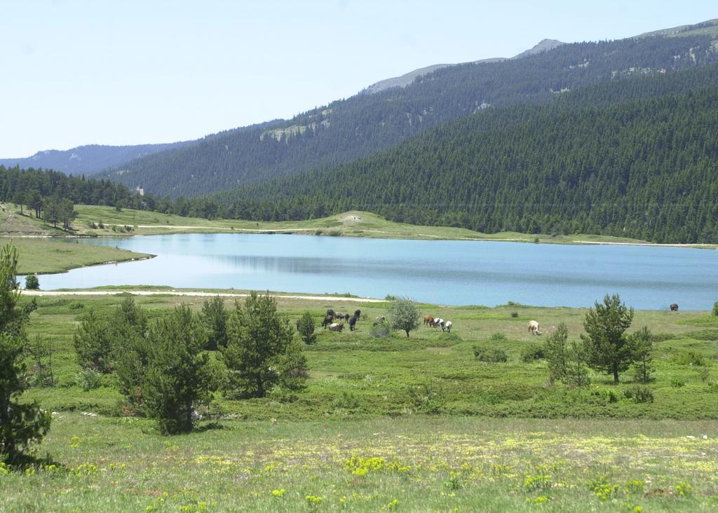 Jura Hotels Ilgaz Mountain Resort 외부 사진