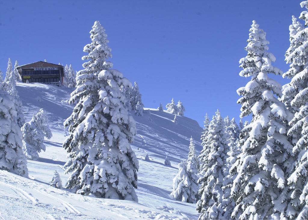 Jura Hotels Ilgaz Mountain Resort 외부 사진