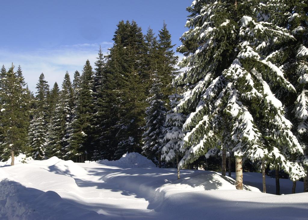 Jura Hotels Ilgaz Mountain Resort 외부 사진