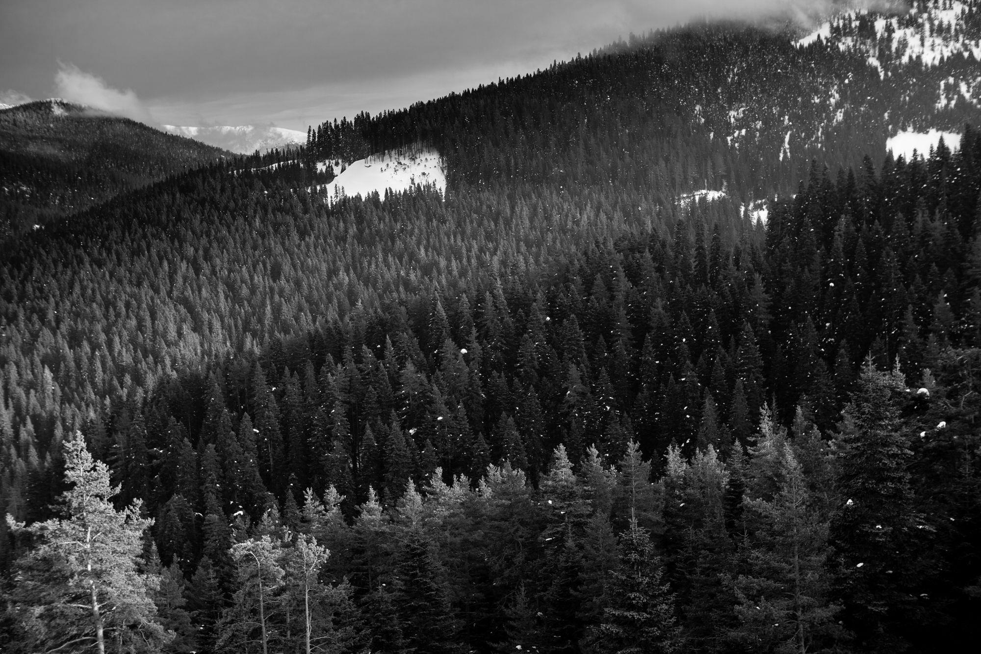 Jura Hotels Ilgaz Mountain Resort 외부 사진