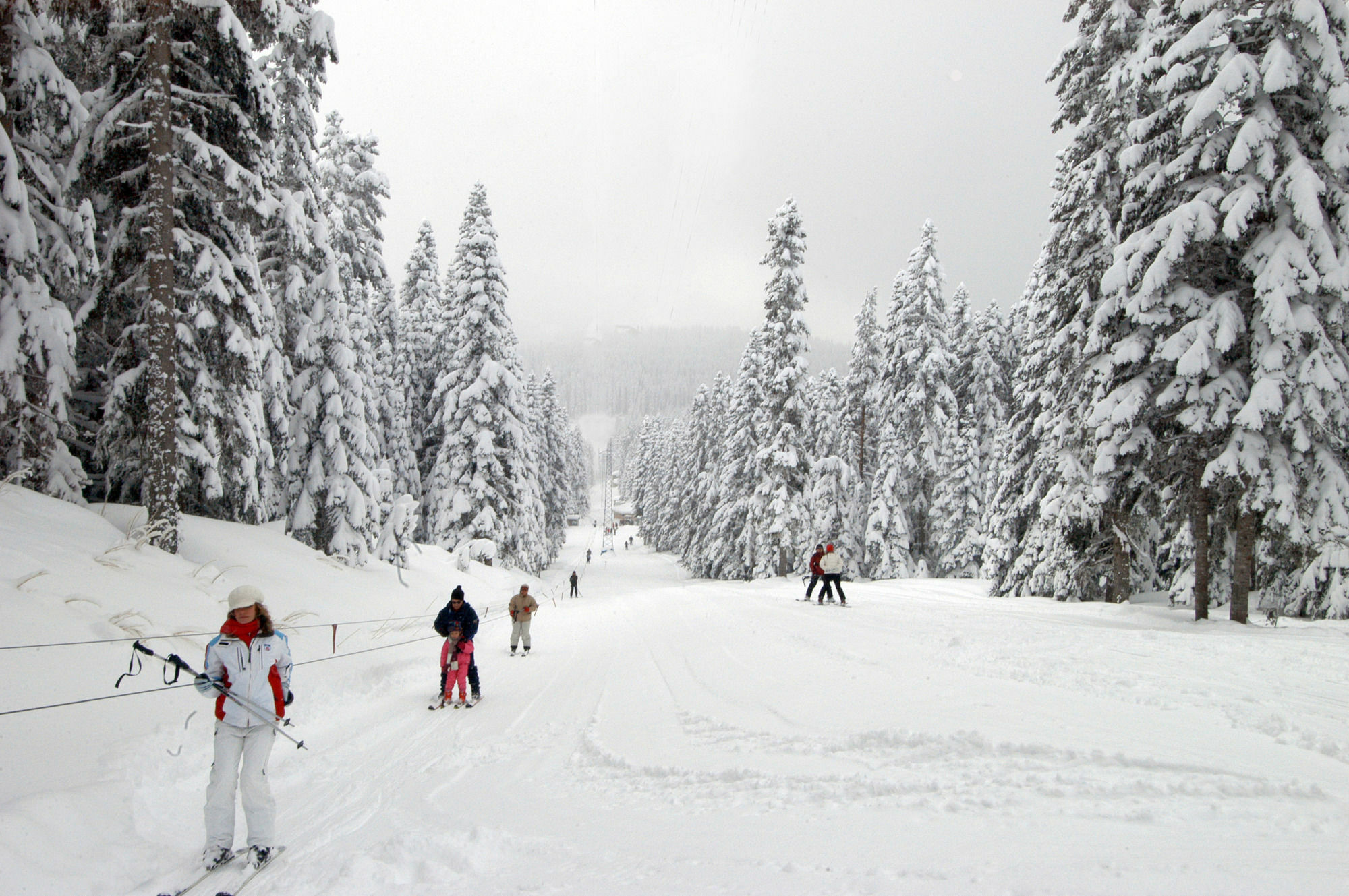 Jura Hotels Ilgaz Mountain Resort 외부 사진